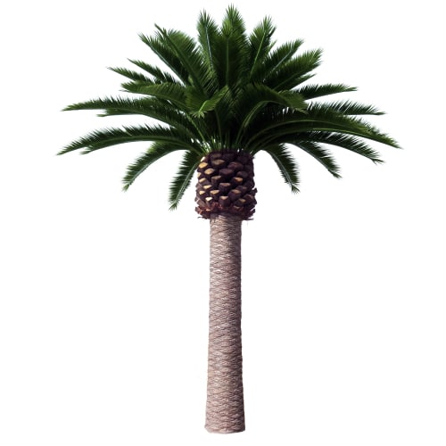 Artificial Trees Giant Palm Custom Tall Trees