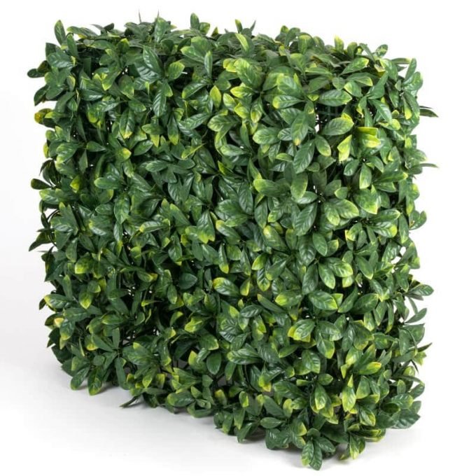 Portable laurel leaf hedge for events (1)
