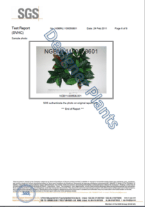 Designer Plants Test Report Page 6