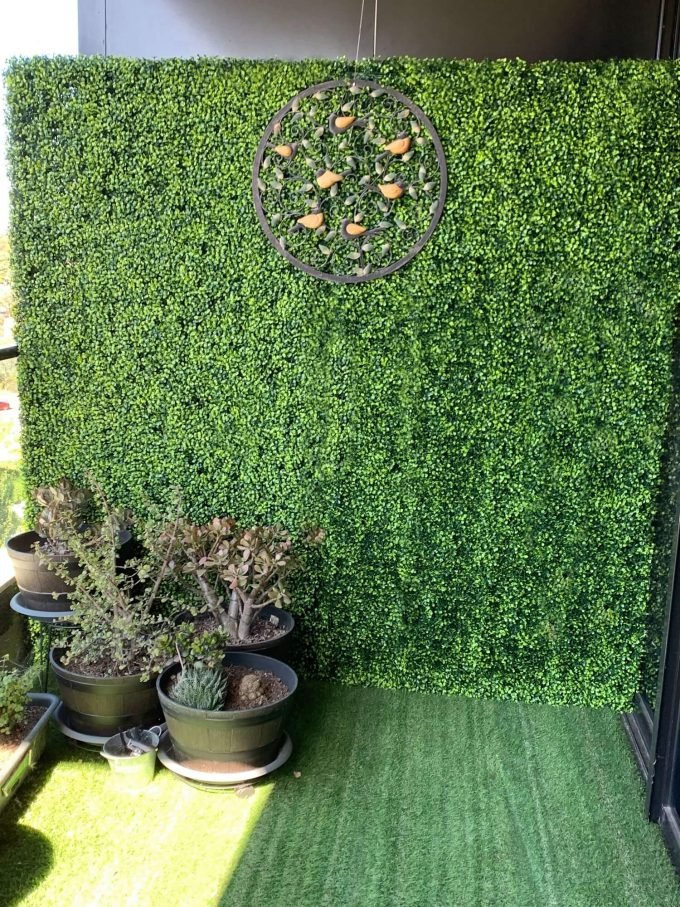 Premium Extra Large Boxwood Hedge Tall Privacy Screen