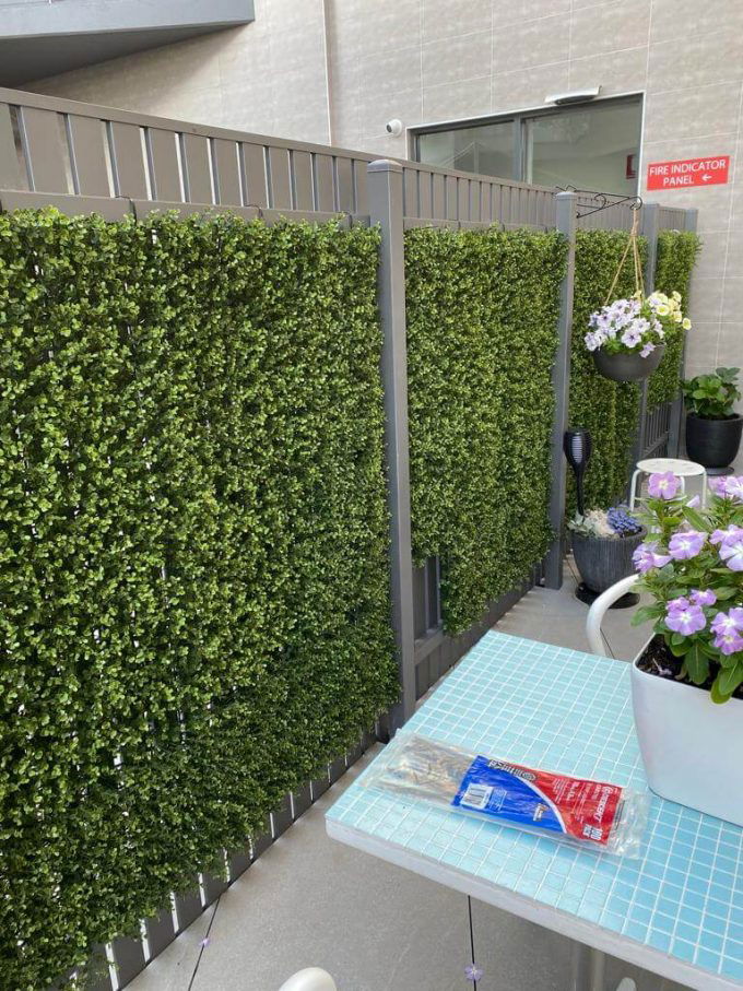 Premium Natural Buxus Hedge Panels UV Resistant 1m x 1m