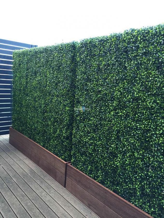 Artificial Boxwood Hedge with Timber Plants