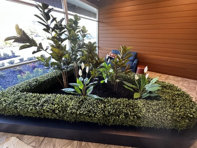 Portable Buxus Hedge in a reception area