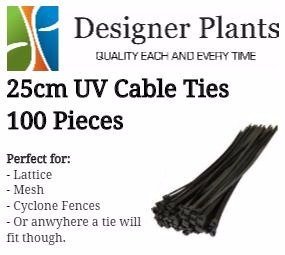 Installation Cable Ties for Green Wall