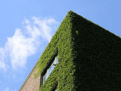 Green building environmental friendly options