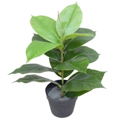 Artificial Potted Rubber Plant