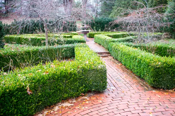 instant artificial box hedging plants