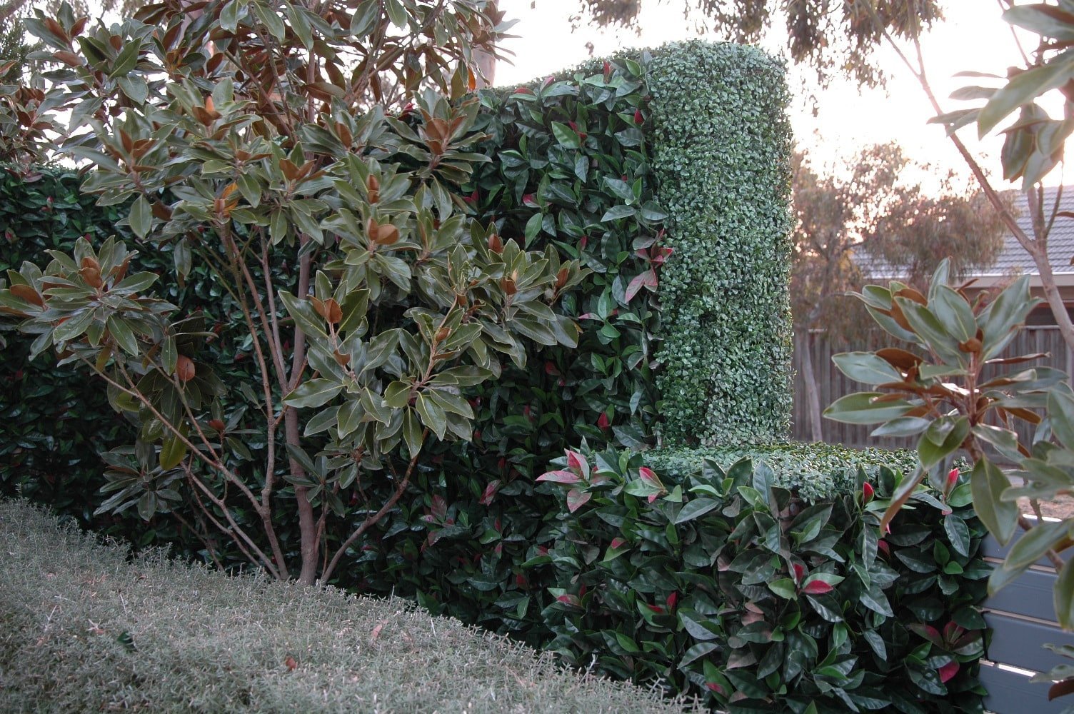 artificial photinia hedges installed onto a brick fence