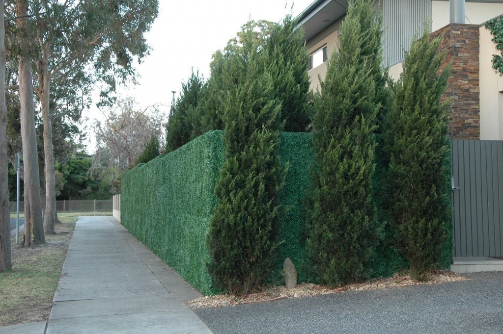 installation of fake boxwood hedge onto render wall