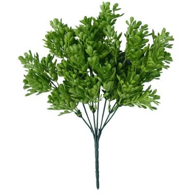Vivid Green Wide Eucalypts Plant