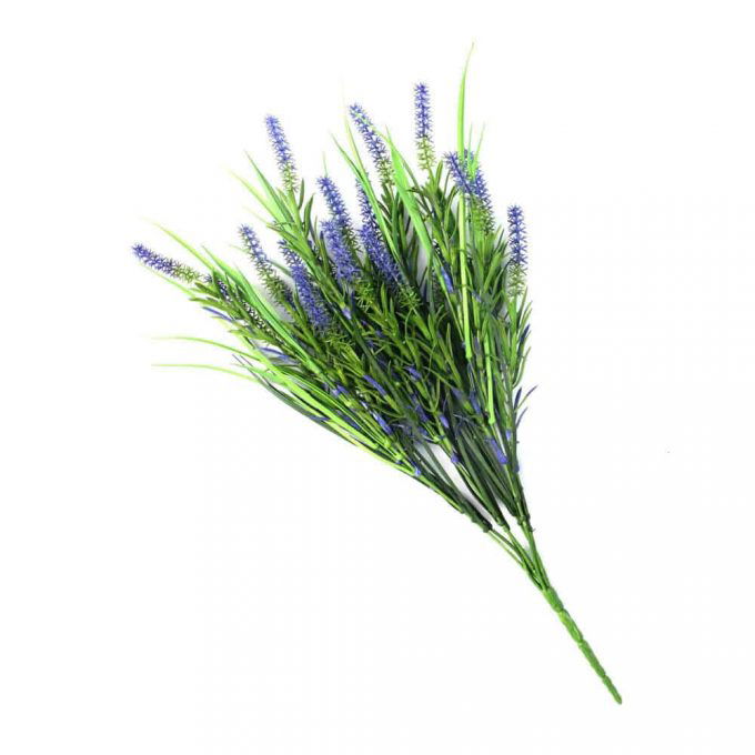 Long Stem Purple Lavender Plant