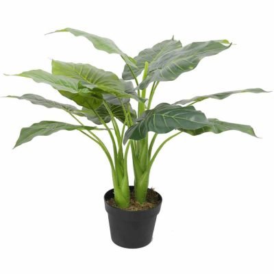 fake potted taro plant