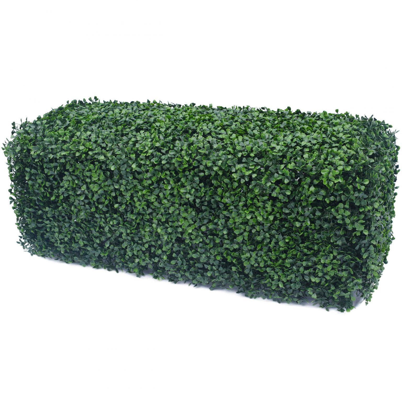 Deluxe Boxwood Hedges (Merbau Planters) | Designer Plants