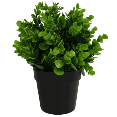 recycled small artificial Peperomia plant