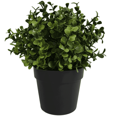 small potted artificial recycled buxus plant