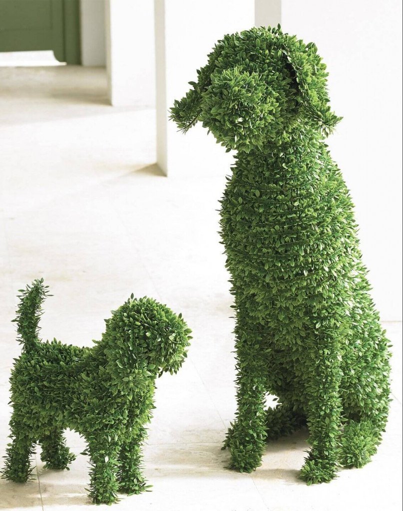 Topiary Dogs Boxwood