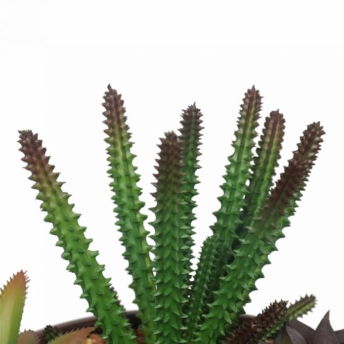 close up of artificial succulent plant