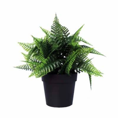 artificial fern plant in a pot