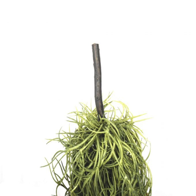 Spanish moss fake plant