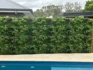 Backyard pool green wall