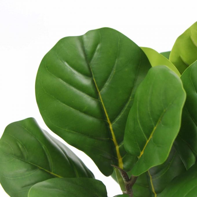 Side view of Artificial fiddle leaf fig in ceramic bowl