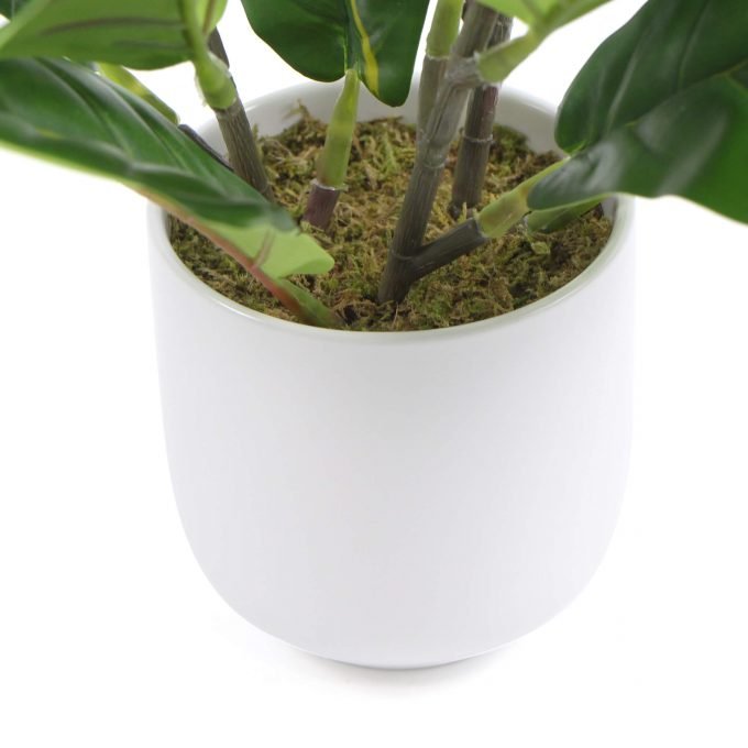 Bowl and leaves of fake fiddle leaf fig
