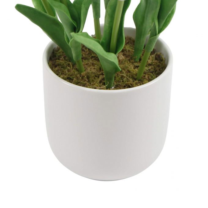 Pot Potted Artificial Tulip with White Flowers & Leaves