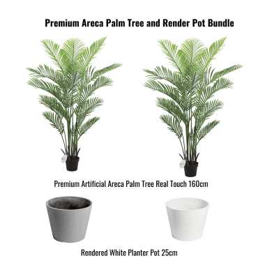 Premium Areca Palm Tree and Render Pot Bundle