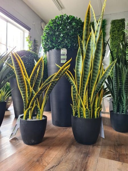 combining faux with real potted plants