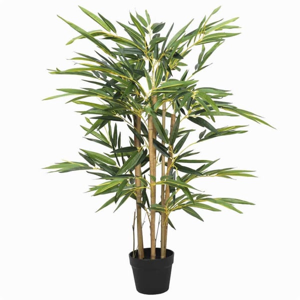 Japanese bamboo tree in a pot