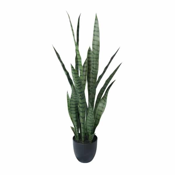 faux potted Sansevieria