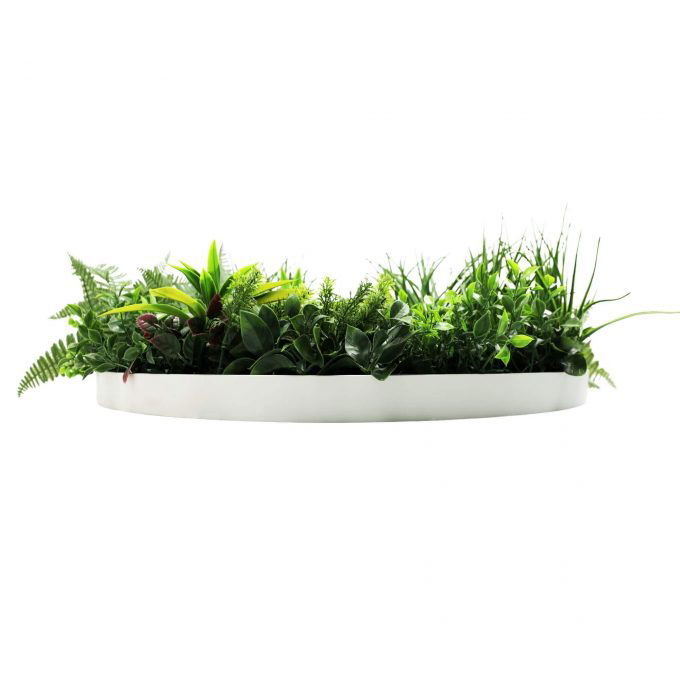 Sied View of Disc Slimline Artificial Green Wall Disc White Country Fern Disc 80cm (1)