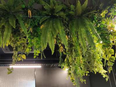 artificial hanging fern