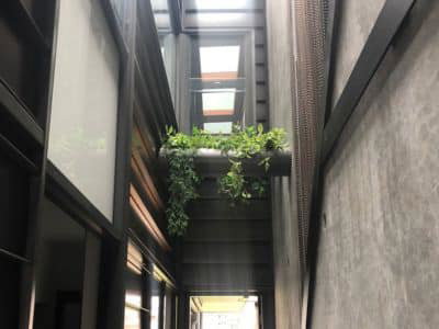 artificial plants in high places