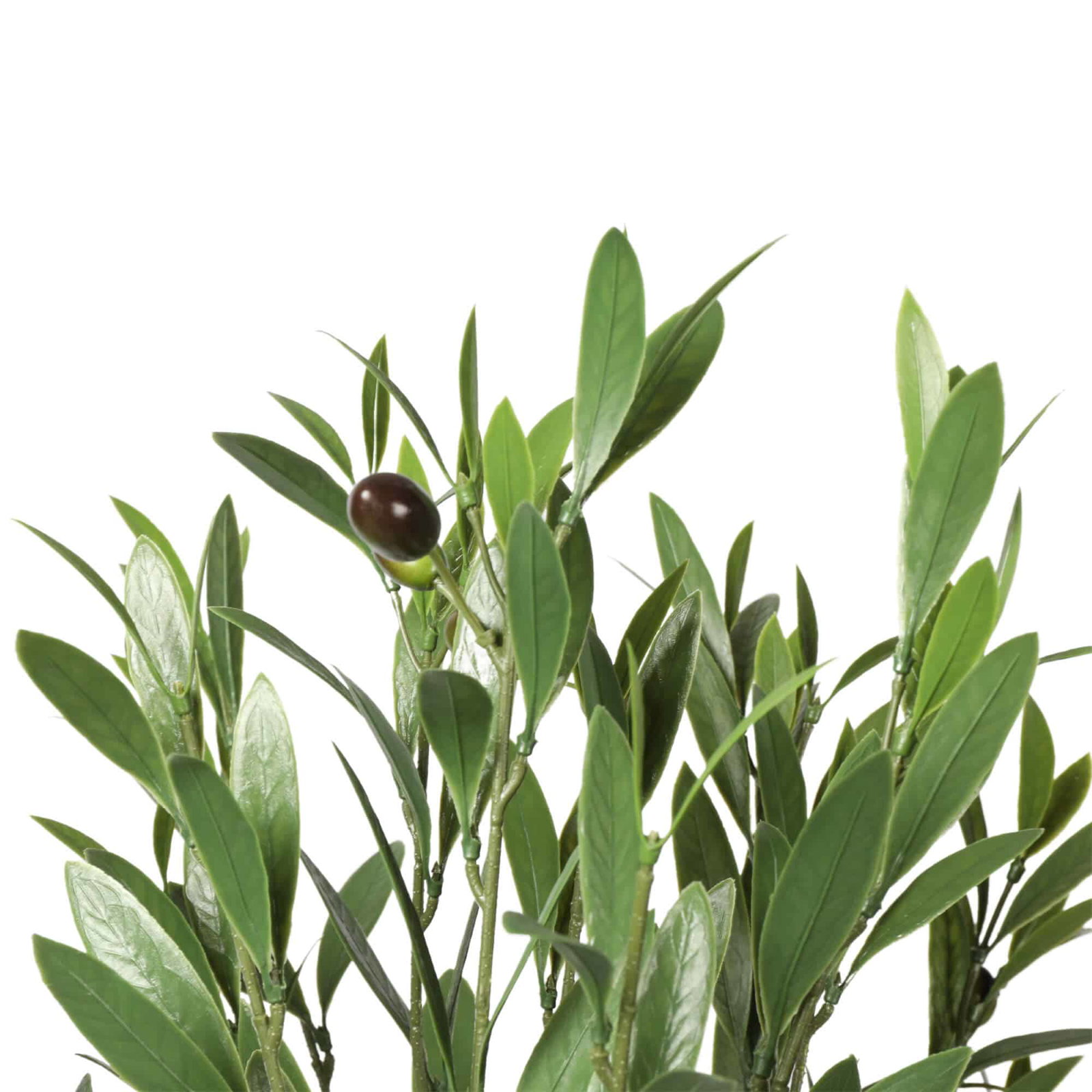 UV Outdoor Rated 23 Olive Branch