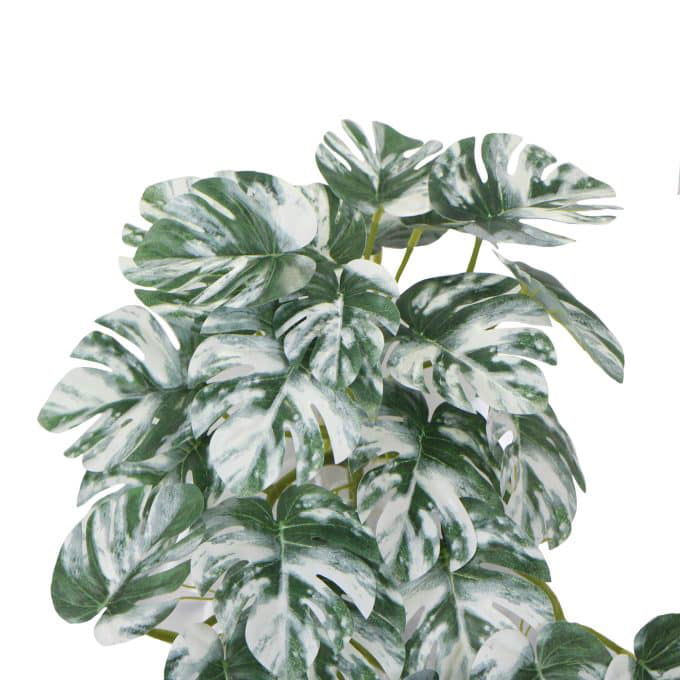 Artificial White & Green Monstera Albo Variegata 45cm Mixed White and Green Philodendron Plant