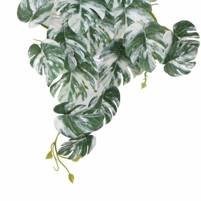 Artificial White & Green Monstera Albo Variegata 45cm Mixed White and Green Philodendron Plant Draping Faux Plant