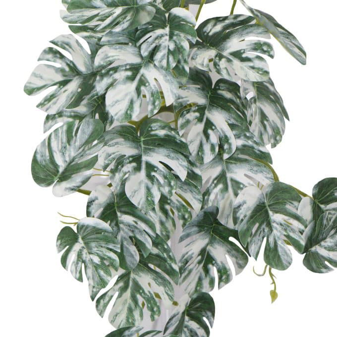 Artificial White & Green Monstera Albo Variegata 45cm Mixed White and Green Philodendron Plant Leaves