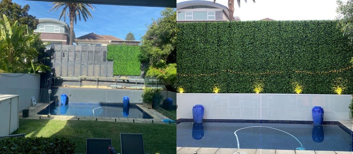 designer plants before and after sydney jasmine green wall