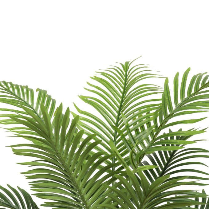 Faux Potted Areca Tree with Nearly Natural Palm Leaves Close Up Leaves