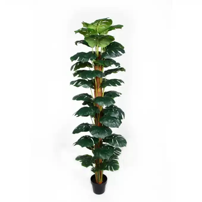 Tall artificial Monstera with glossy leaves, perfect for corner decor.