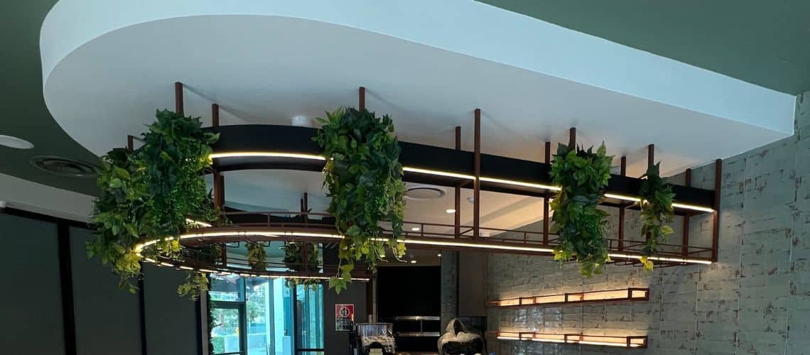 magpies bar hanging plants