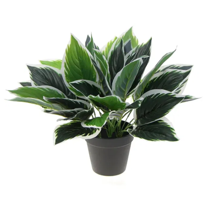 Dense Potted Artificial Calathea Plant 35cm in Pot