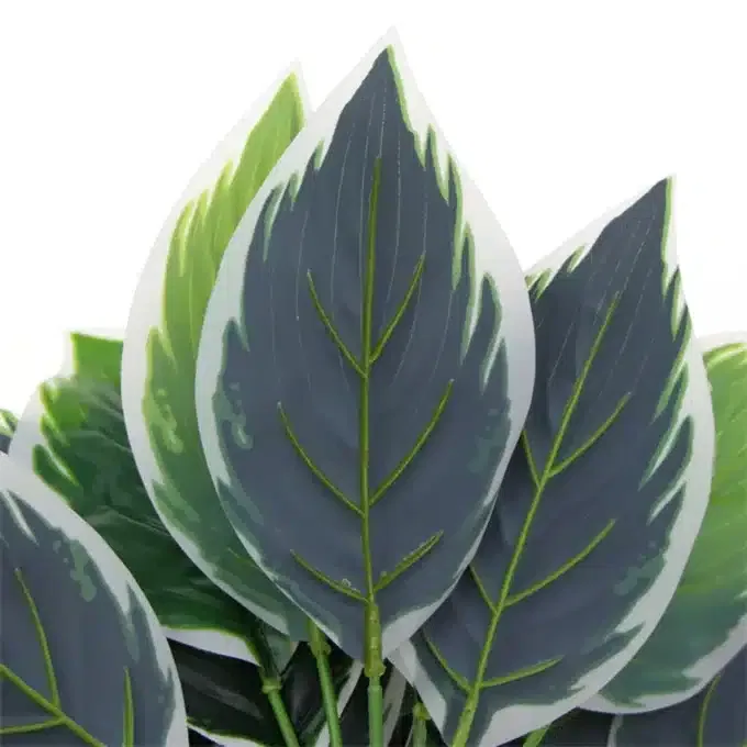 Dense Potted Artificial Calathea Plant 35cm in Leaves