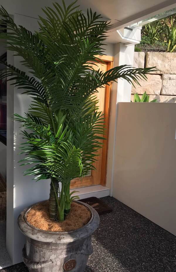 tall fake botted palm tree