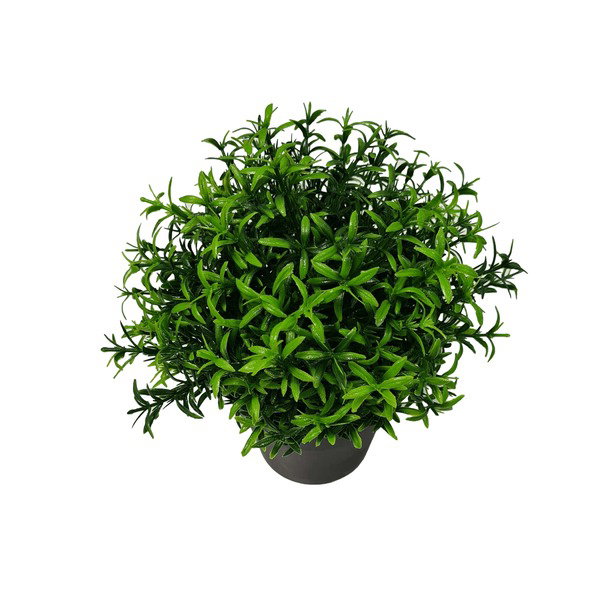 small potted plastic shrub