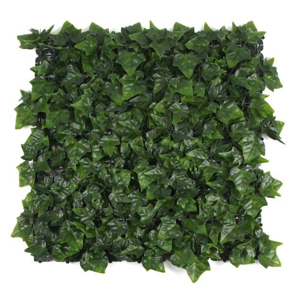 Variegated Boston Ivy Leaf Screen Green Wall Panel UV Resistant 1m X 1m (Dense Backing)