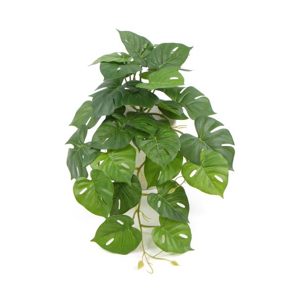 Decorative Artificial Monstera Adansonii Plant in Ceramic Bowl 30cm