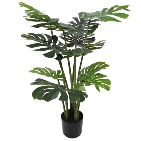 Split Philodendron Monstera Deliciosa (Split Leaf) 120cm