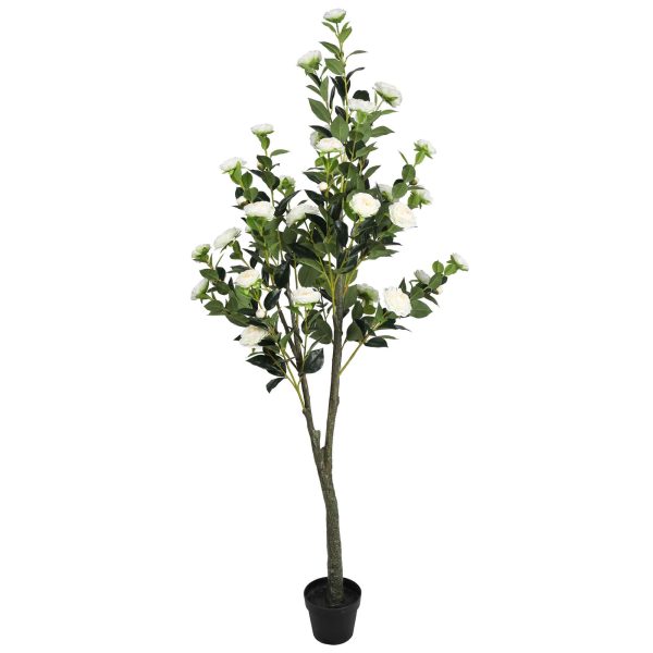 Flowering Natural White Artificial Camellia Tree 180cm